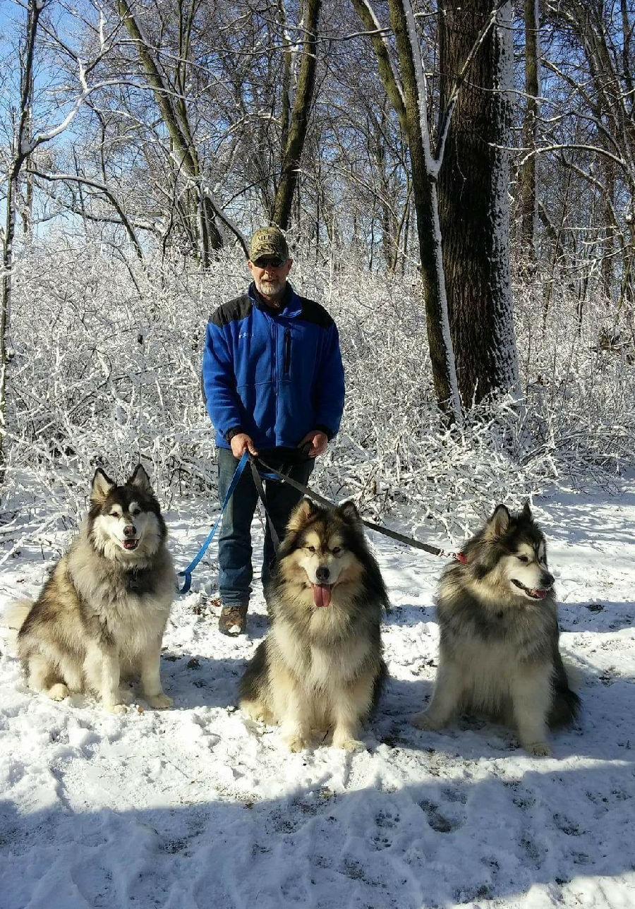 Man standing in snow with three dogs