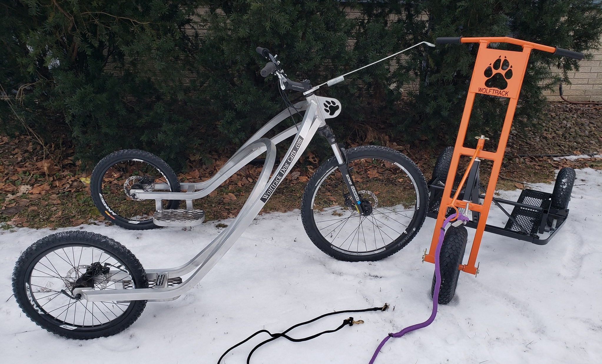 K9 Racer and Beta in Snow