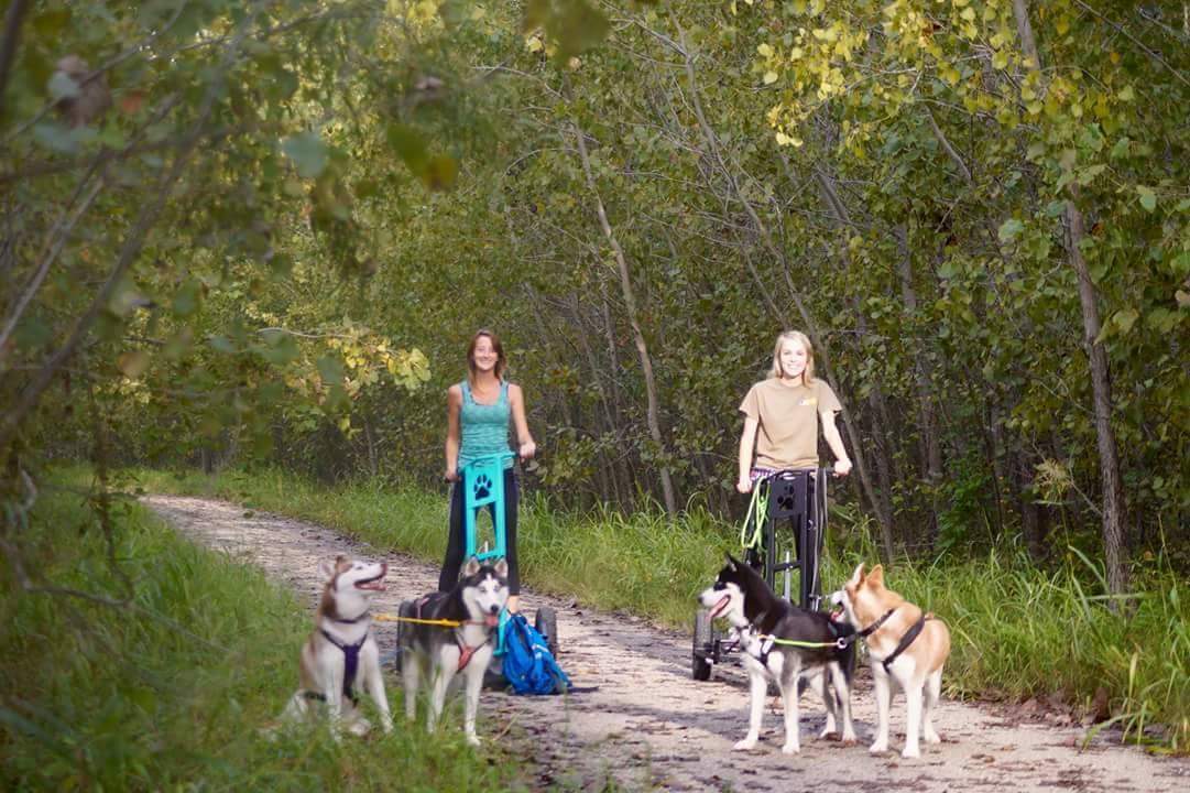 Steel Rigs - Wolftrack Rigs